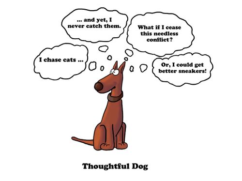Thoughtful Dog