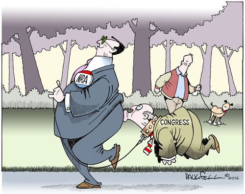 NRA and Congress