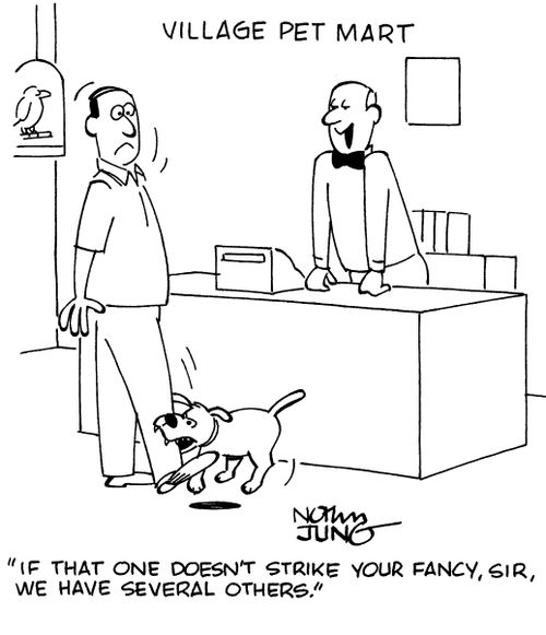 "If that one doesn't strike your fancy, sir, we have several others." 