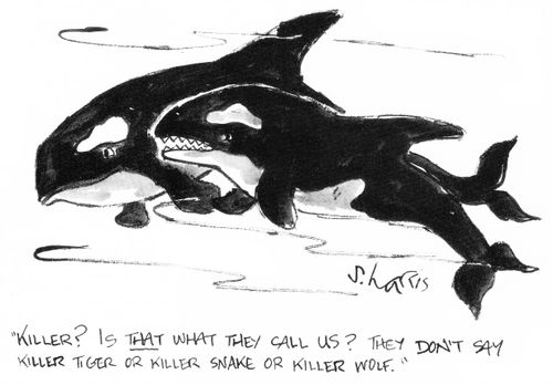 "Killer? Is that what they call us?  Eh don't say killer tiger or killer charm or killer wolf."