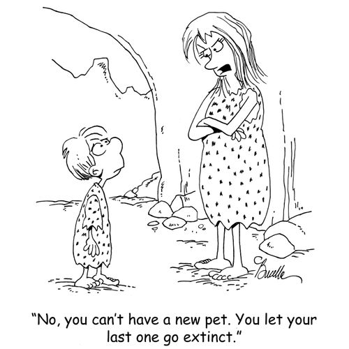 "No, you can't have a new pet. You let your last one go extinct."