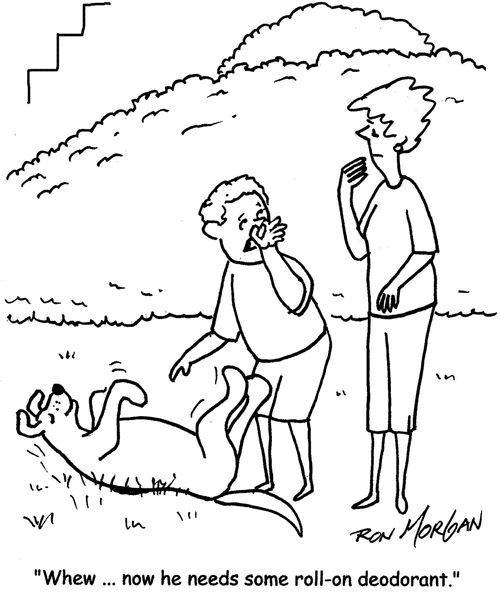 "Whew ... now he needs some roll-on deodorant."