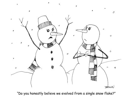 "Do you honestly believe we evolved from a single snow flake?"