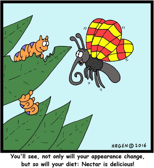 "You'll see, not only will your appearance change, but so will your diet: Nectar is delicious!"