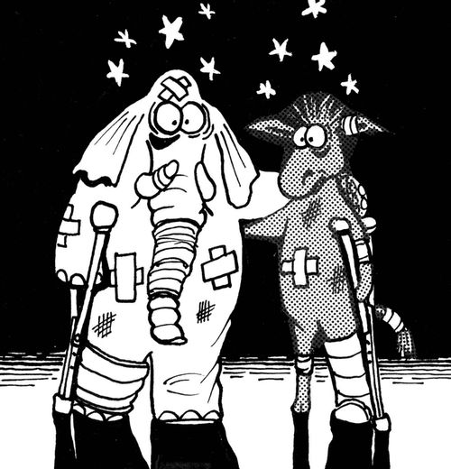 Political Race