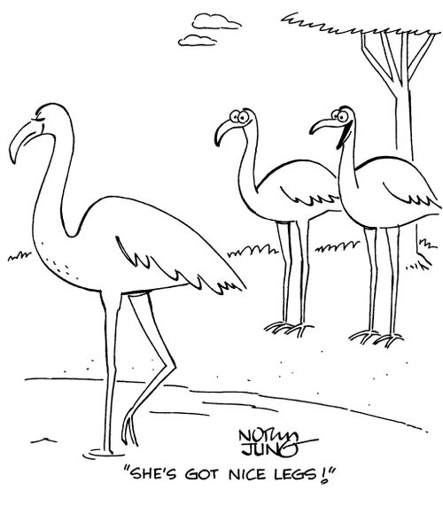 "She's got nice legs!"