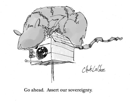 "Go ahead. Assert our sovereignty."