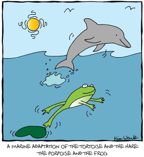 A marine adaptation of the tortoise and the hare: the porpoise and the frog. 
