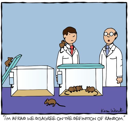 "I'm afraid we disagree on the definition of random."