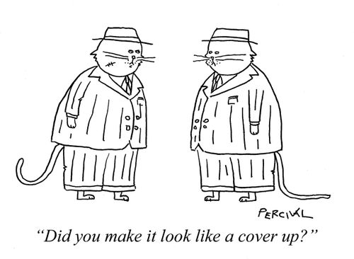 'Did you make it look like a cover up?'