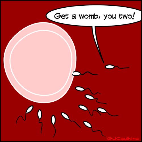"Get a womb, you two!"