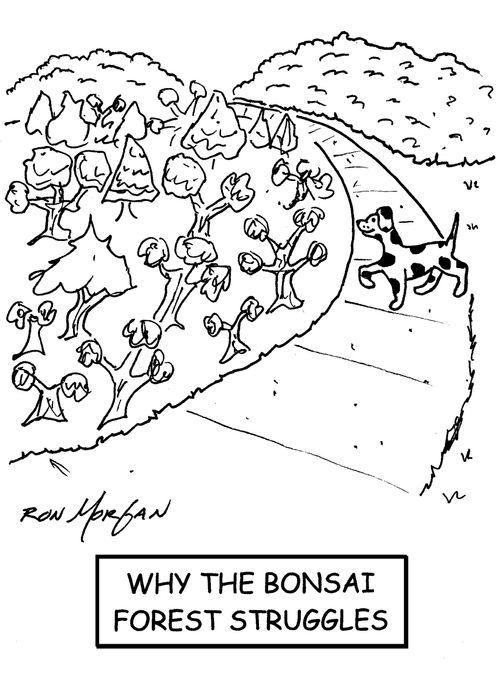 Why the Bonzai Forest struggles.