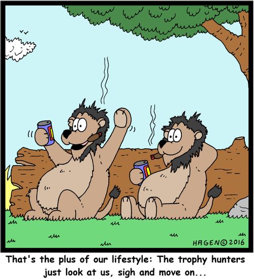 "That's the plus of our lifestyle: The trophy hunters just look at us, sigh and move on..."