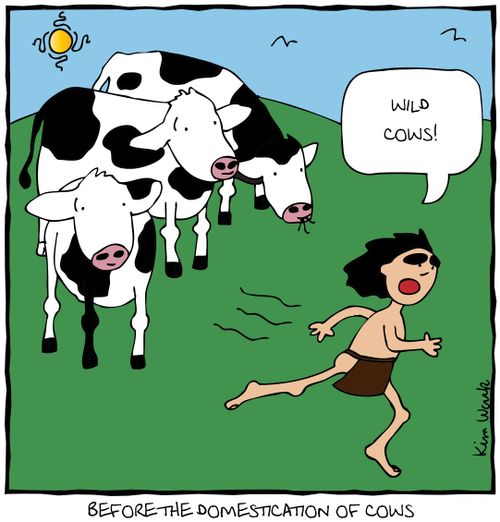 Before the Domestication of Cows