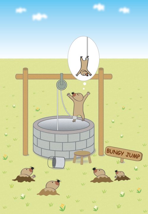 Bungy Jumping Moles
