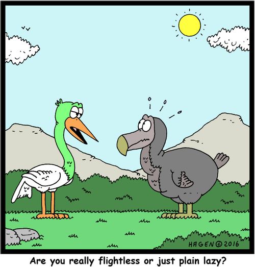 "Are you really flightless or just plain lazy?"
