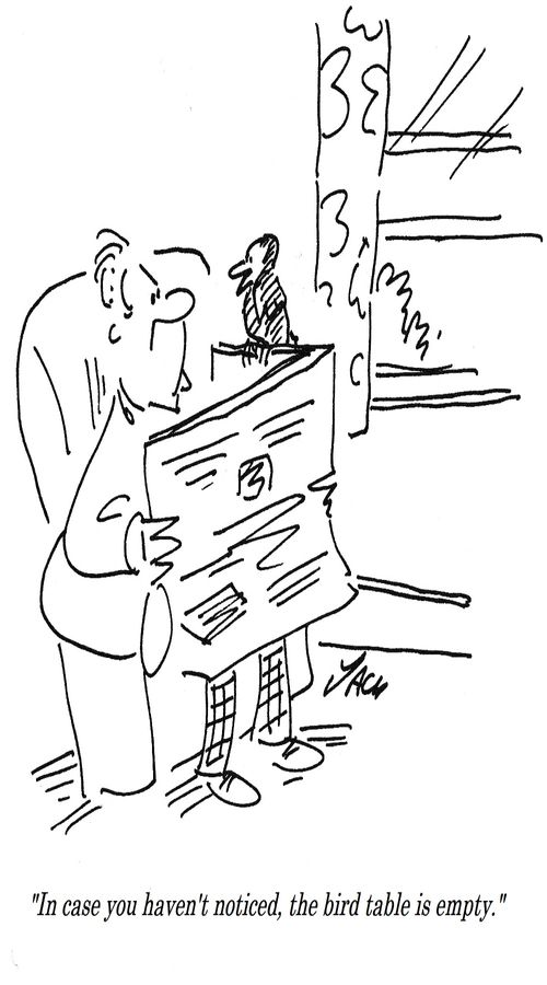 "In case you haven't noticed, the bird table is empty."