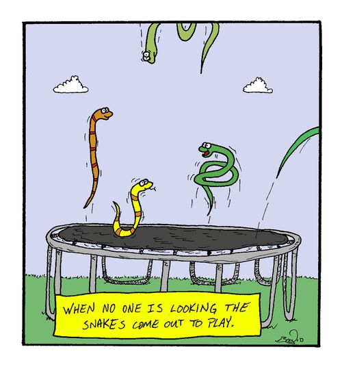 When no one is looking the snakes come out to play. 