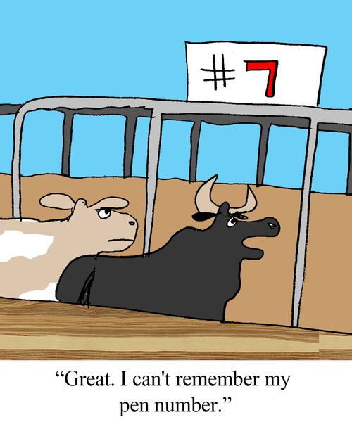 "Great.  I can't remember my pen number."