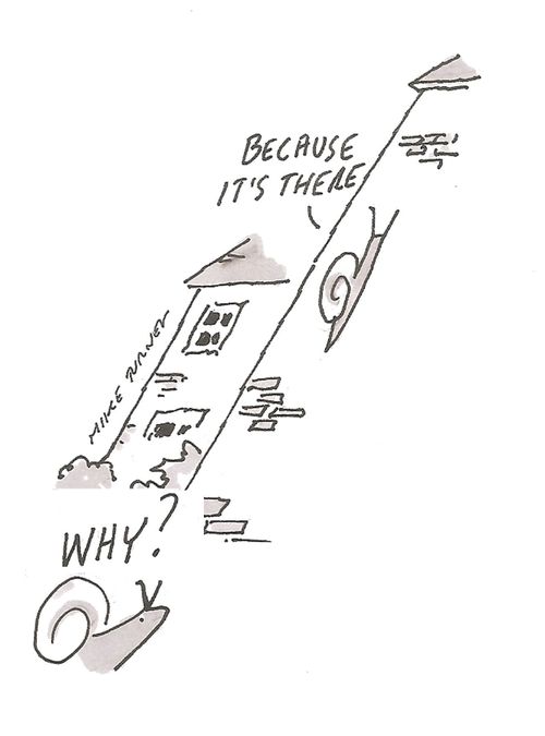 Snail Logic