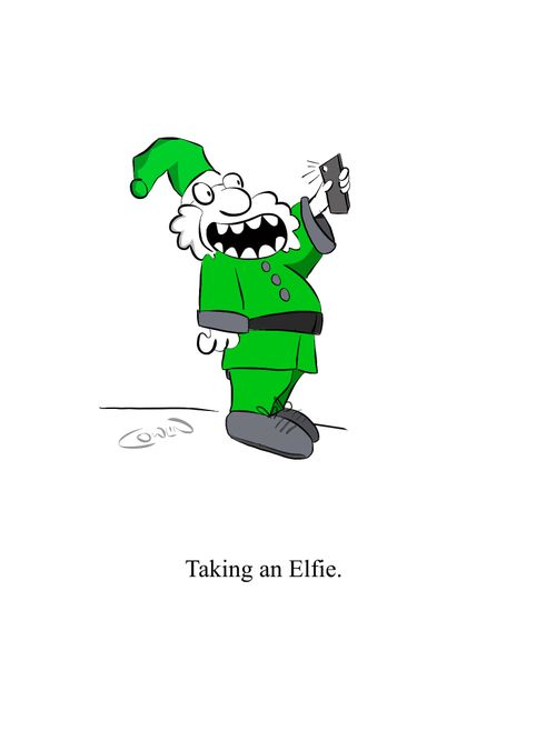 Taking an Elfie