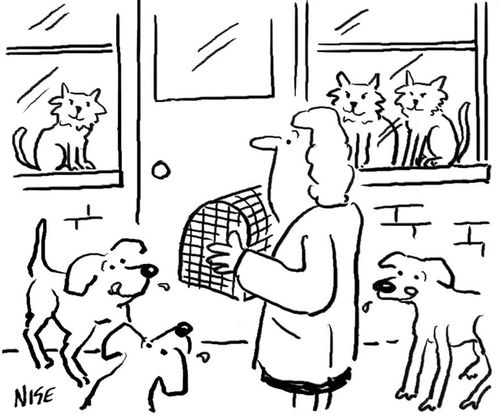 Cattery and kennels 