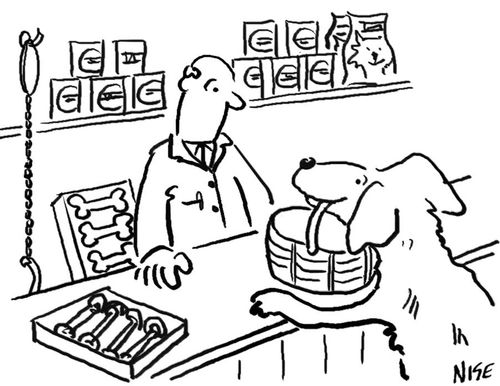 Dog shopping in a pet shop.