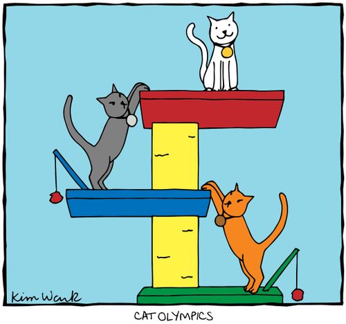 Cat Olympics