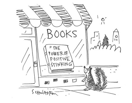Books: The Power of Positive Stinking.