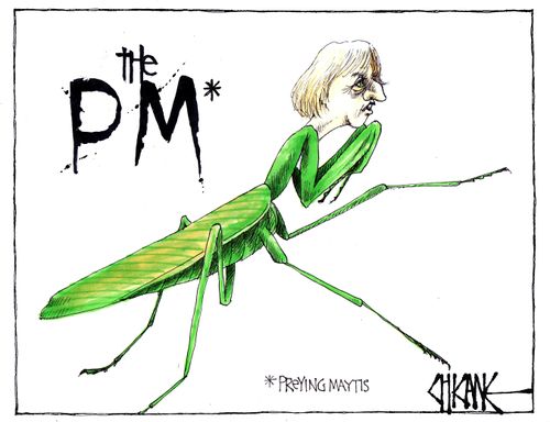 The PM. . . Preying Maytis