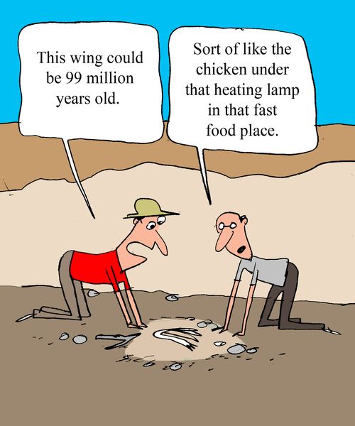"This wing could be 99 million years old." 