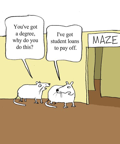 "You've got a degree, why do you do this?" 