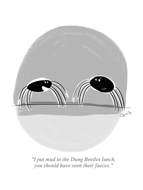 "I put mud in the Dung Beetles lunch, you should have seen their faeces."