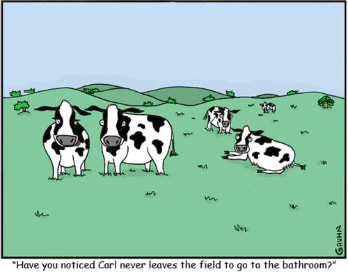 "Have you noticed Carl never leaves the field to go to the bathroom?"