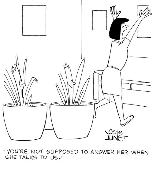 "You're not supposed to answer her when she talks to us."