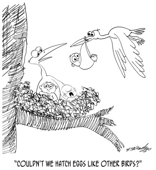 "Couldn't we hatch eggs like other birds?"