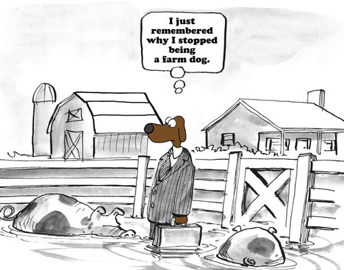 "I just remembered why I stopped being a farm dog."