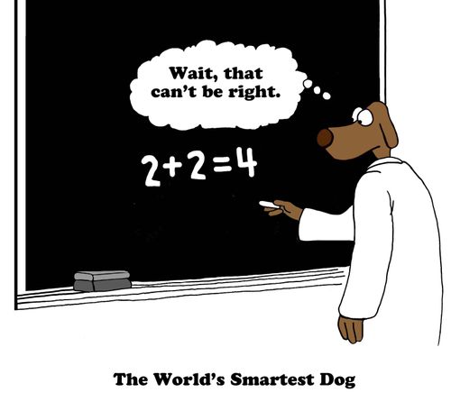 The World's Smartest Dog