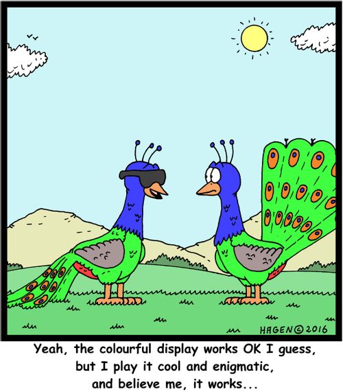 "Yeah, the colourful display works OK I guess, but I play it cool and enigmatic, and believe me, it works..."