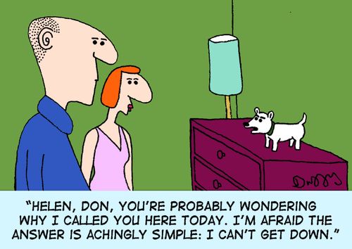 "Helen, Don, you're probably wondering why I called you here today. I'm afraid the answer is achingly simple: I can't get down."