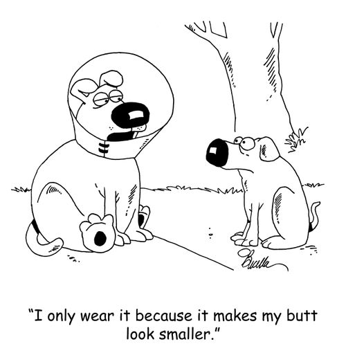 "I only wear it because it makes my butt look smaller."