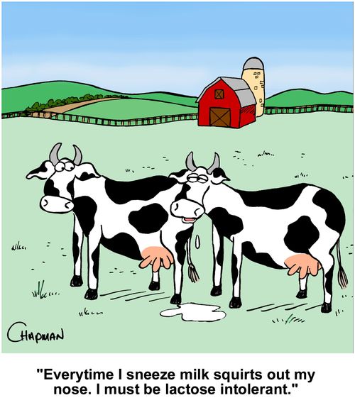 "Everytime I sneeze milk squirts out my nose. I must be lactose intolerant."
