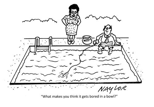 "What makes you think it gets bored in a bowl?"