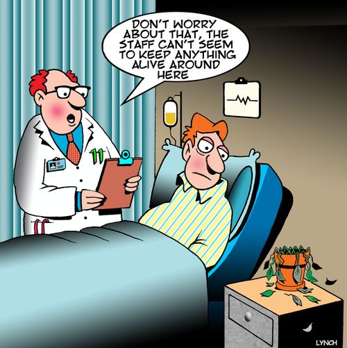 "Don't worry about that, the staff can't seem to keep anything alive around here."