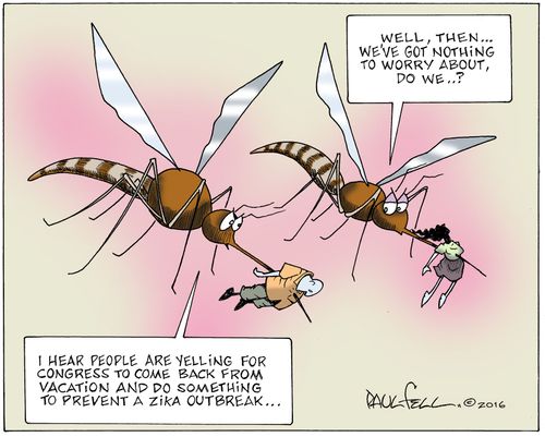 Zika Mosquitos