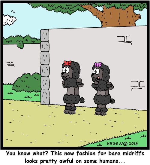 "You know what? This new fashion for bare midriffs looks pretty awful on some humans..."