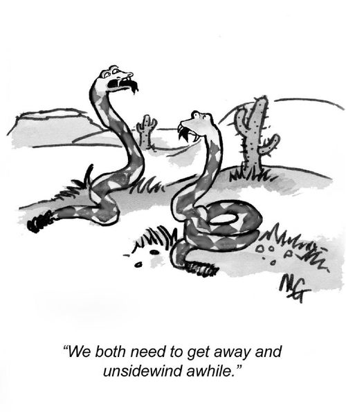 "We both need to get away and unsidewind awhile."