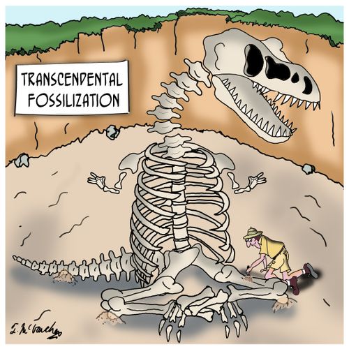 Transcendental Fossilization