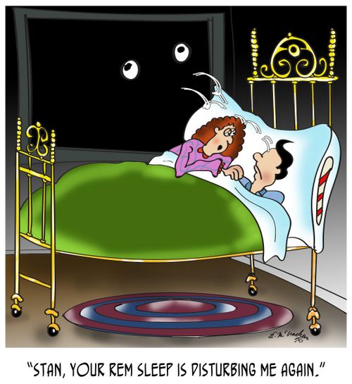 "Stan, your REM sleep is disturbing me again."