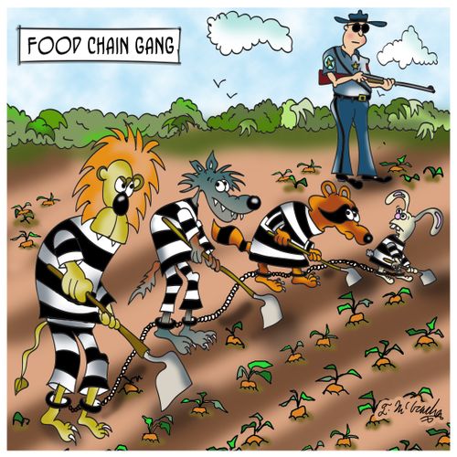 Food Chain Gang